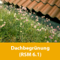 Preview: Dachbegrünung (RSM 6.1)