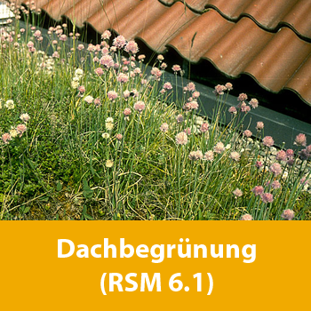 Dachbegrünung (RSM 6.1)