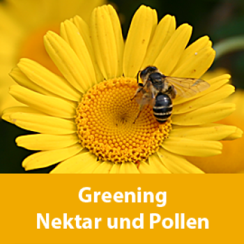 Greening Nektar und Pollen