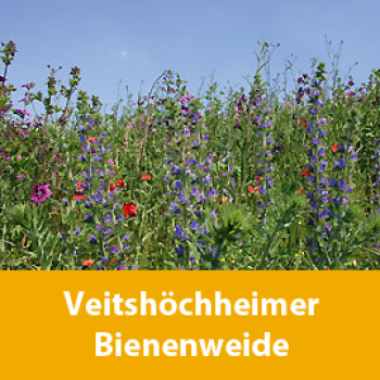 Veitshöchheimer Bienenweide