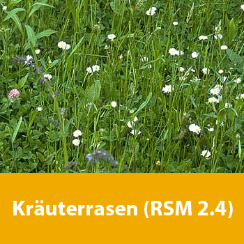 Kräuterrasen (RSM 2.4)