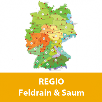 Feldrain & Saum (10% Gräser / 90% Kräuter) - Regiosaatgut, zertifiziert nach RegioZert®