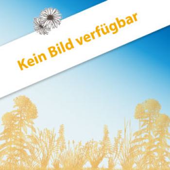 Einjährige Blühmischung Brandenburg - Förderung naturbetonter Strukturelemente im Ackerbau