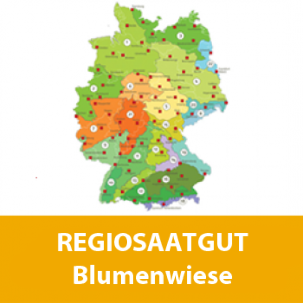 Blumenwiese (50% Gräser / 50% Kräuter) - Regiosaatgut, zertifiziert nach RegioZert®