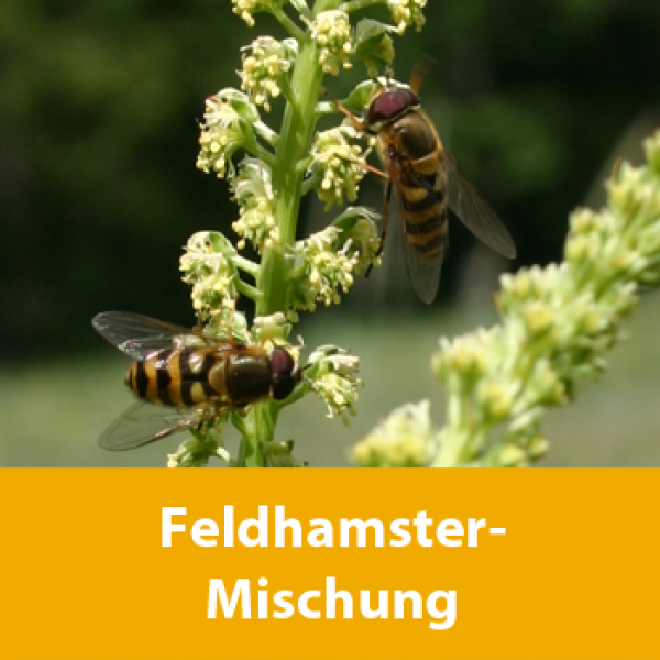Feldhamster-Mischung