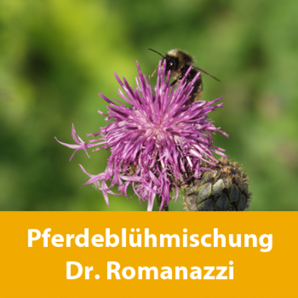 Insektenfreundliche Pferdeblühmischung - 100% Kräuter, i.Z.m. Frau Dr. Romanazzi